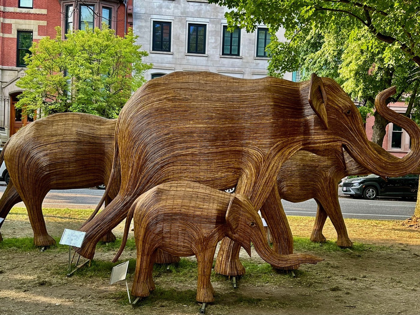 The Great Elephant Migration on Commonwealth Avenue