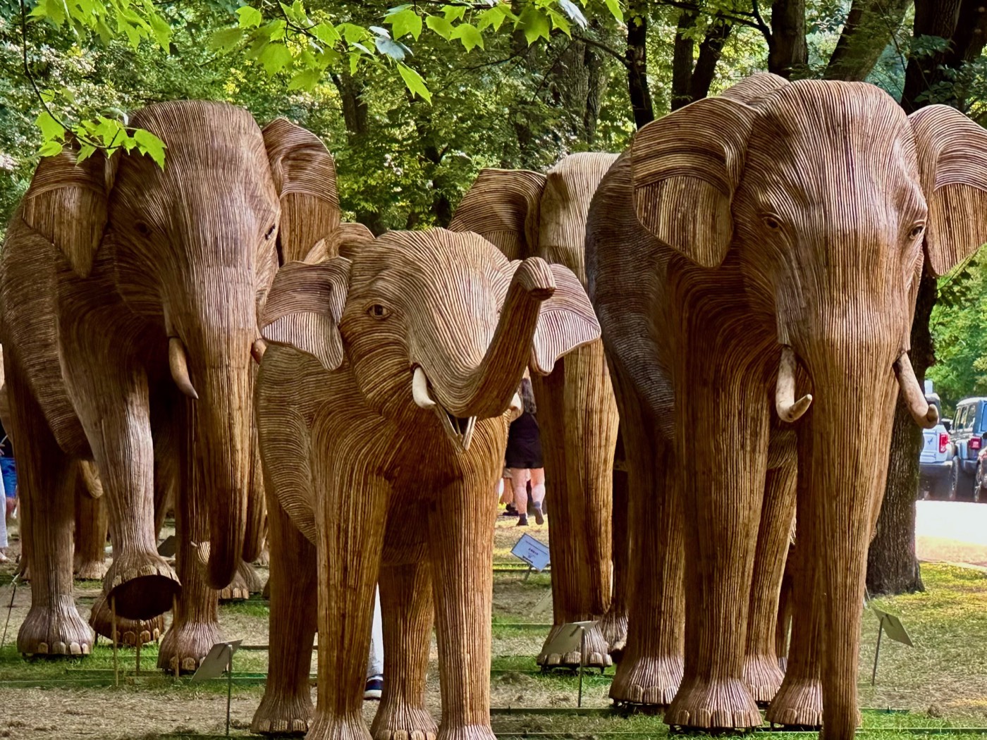 A group of woven elephant sculptures facing the camera under the trees of the Commonwealth Avenue Mall, with a calf standing at the center of the herd.