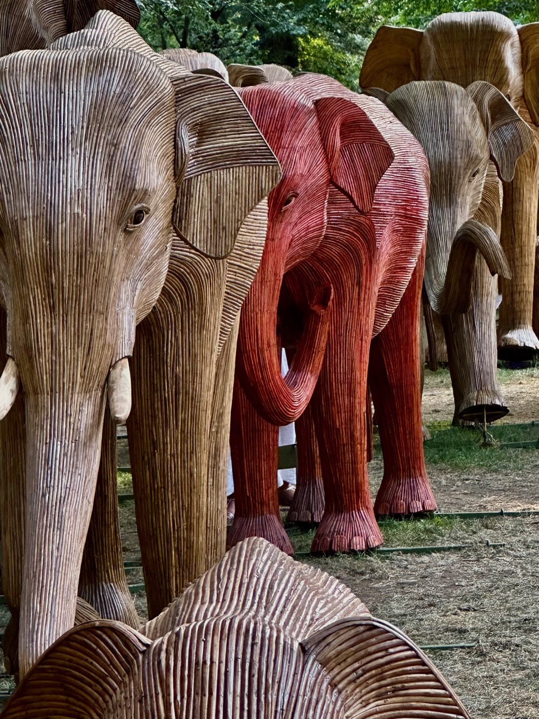 A line of elephant sculptures seen from behind, one of them painted deep red, standing among the pale unpainted members of the herd.