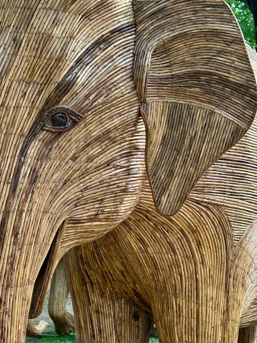 Close view of an elephant sculpture's head, showing the inlaid eye and the fine strands of lantana that make up the ear and brow.