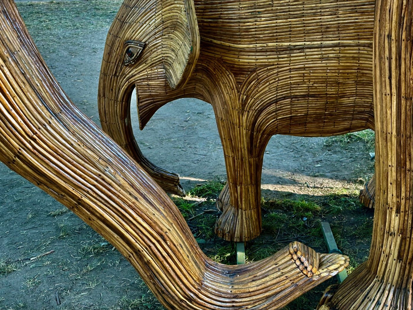 Detail of a curving trunk and the legs of an elephant sculpture, the woven lantana strands running in long parallel lines.