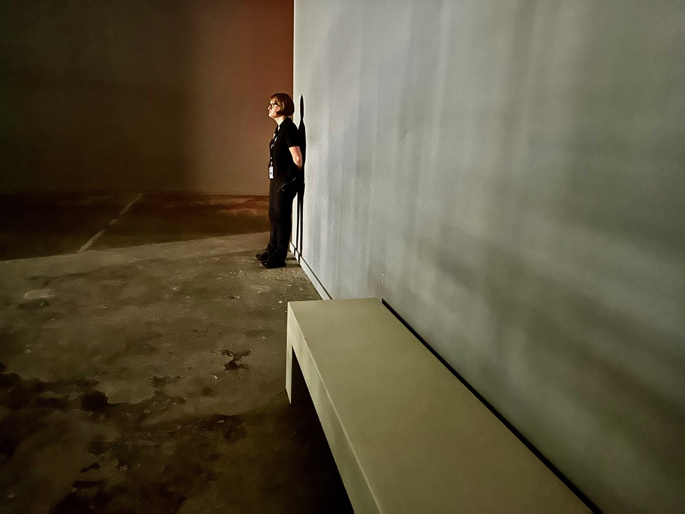 A gallery attendant watches Lucy Raven's Murderers Bar from the edge of the screen at the ICA Watershed.