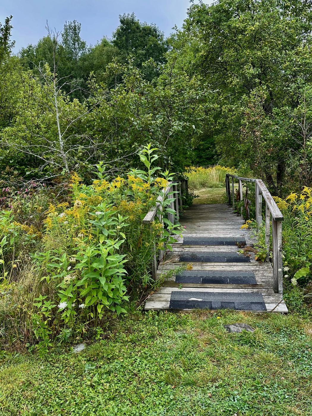 Weathered wooden steps and a railing climbing between goldenrod and milkweed on a trail through the preserve.