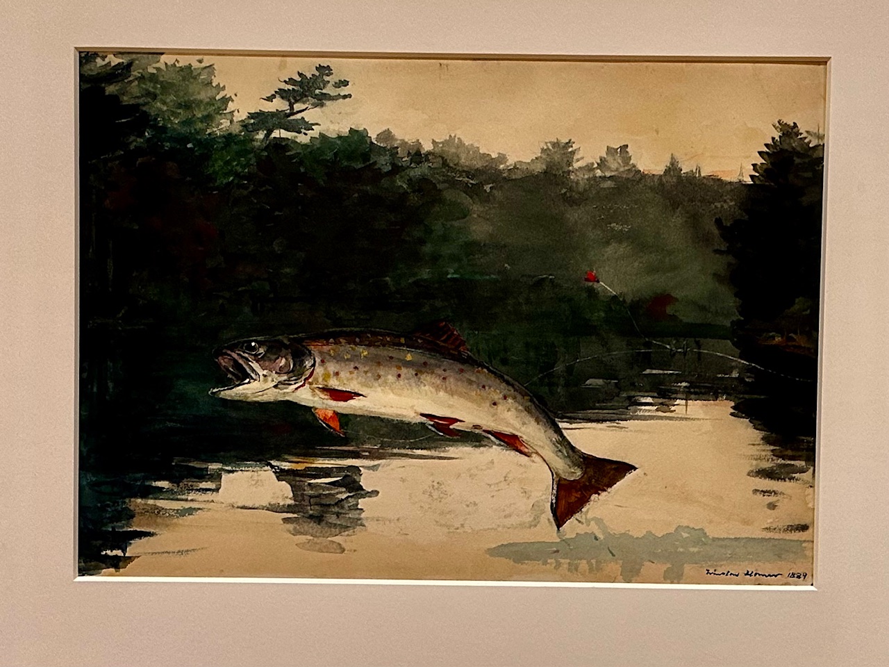 Winslow Homer's watercolor Leaping Trout, a fish arcing over dark water, at the Portland Museum of Art.