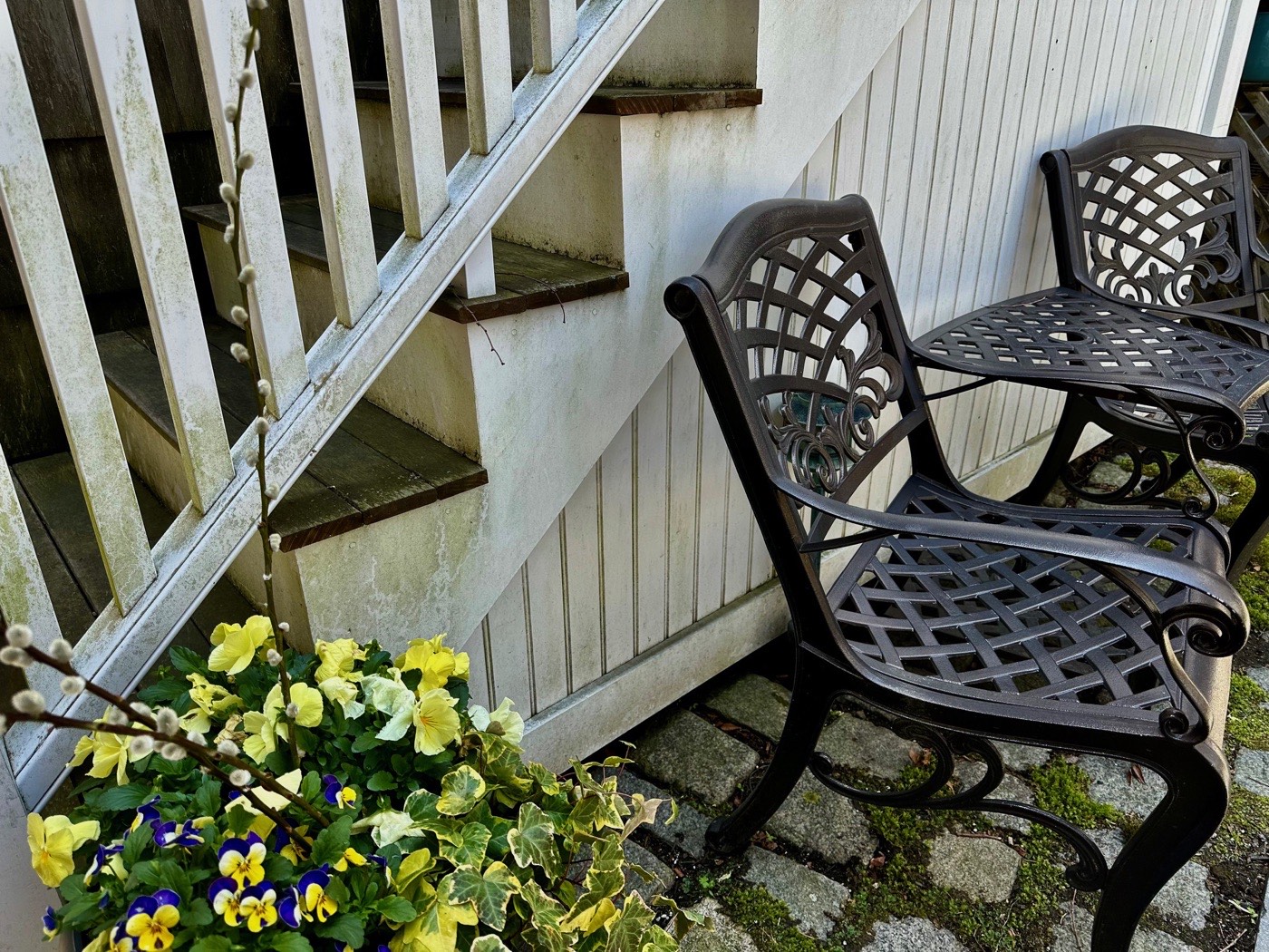 Cast-iron chairs beside a pot of pansies by a stairway at the Rockport Art Association.